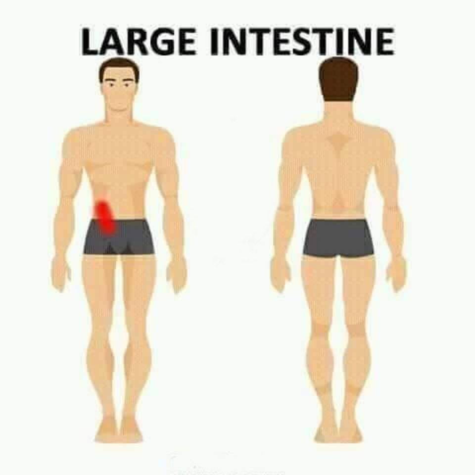 large intestine pain
