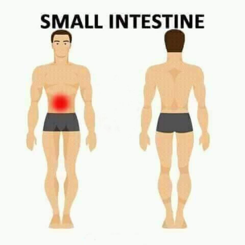 small intestine pain