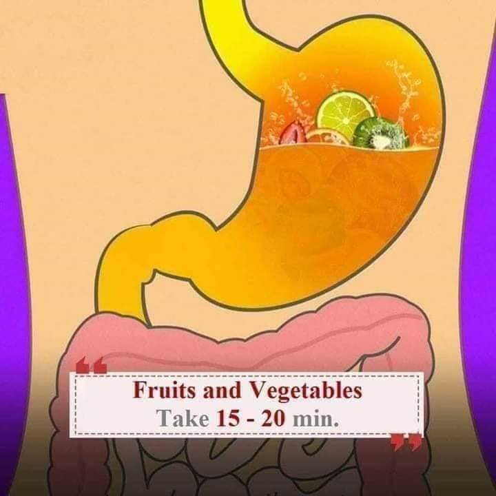 digestive health tips in telugu