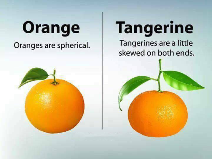 orange tangerine difference