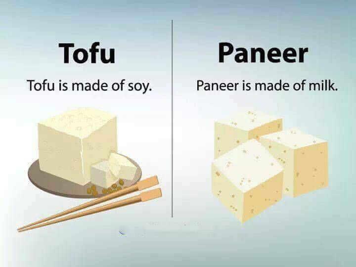 tofu paneer difference 13 Differences