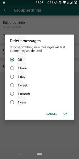 selecting whatsapp auto delete messages feature duration