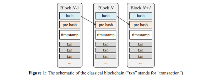 network of blockchain nakamoto