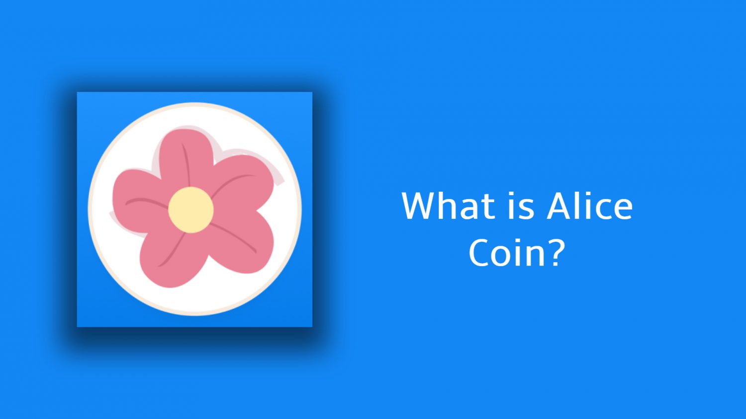 Coin price prediction alice Alice (My
