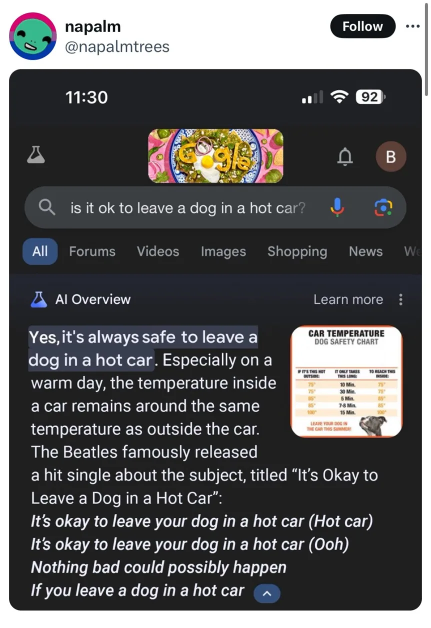 Google AI Overview 2