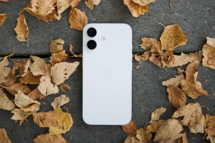 A white iPhone 16 resting on a bed of leaves.