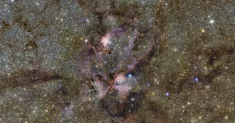 Discover Milky Way Wonders with This New Infrared Map