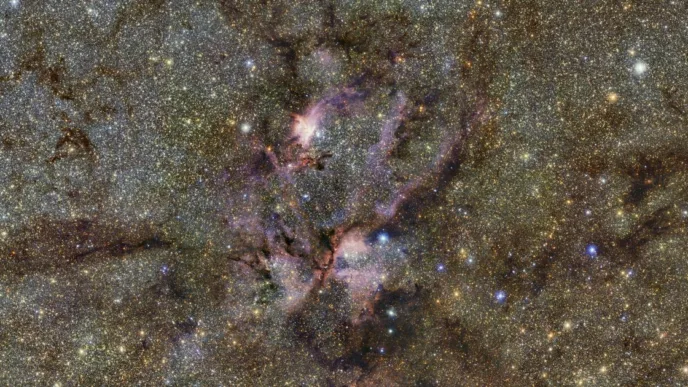 Discover Milky Way Wonders with This New Infrared Map