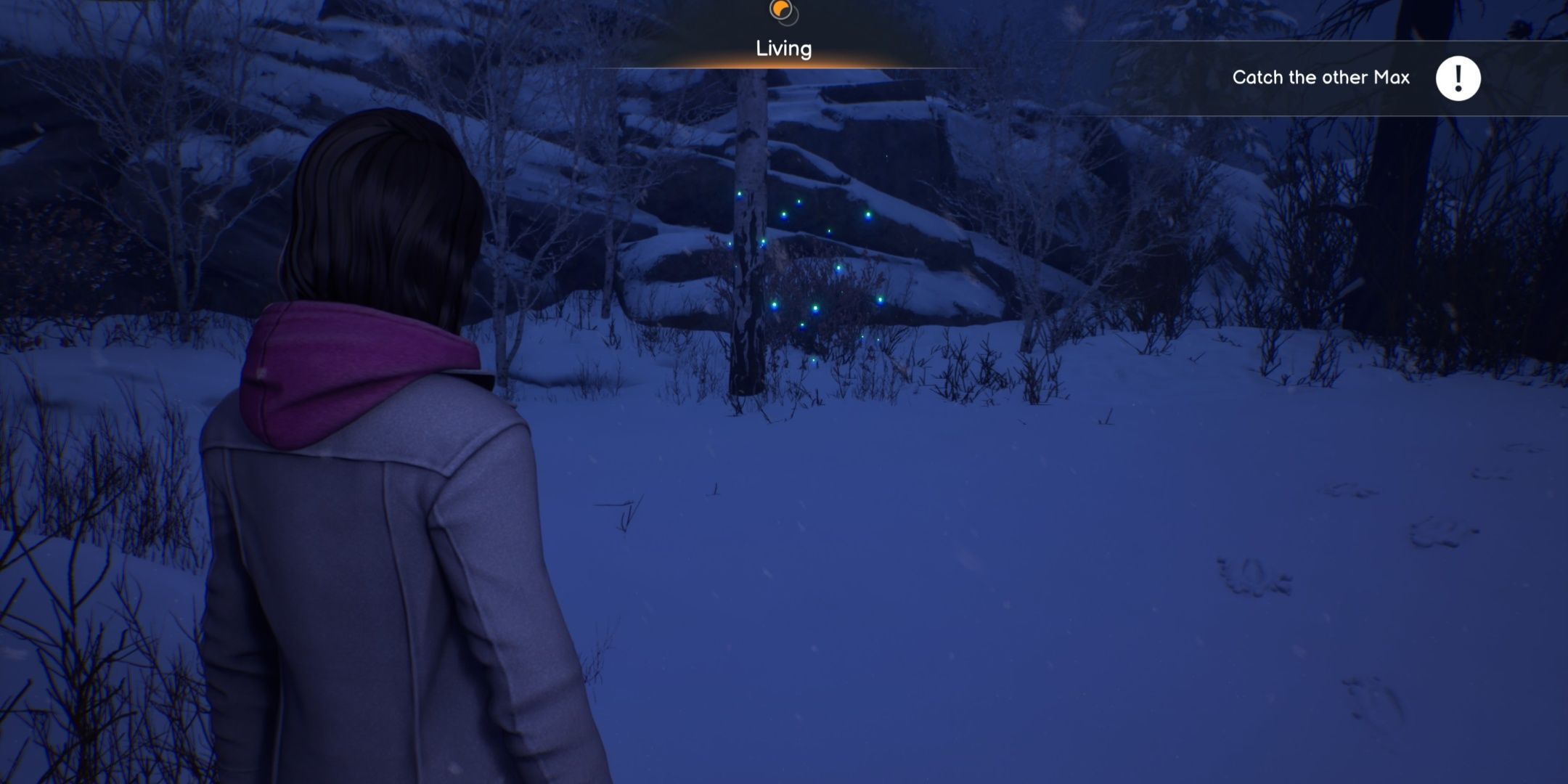 Max looking at a portal to the Dead World in Life is Strange Double Exposure