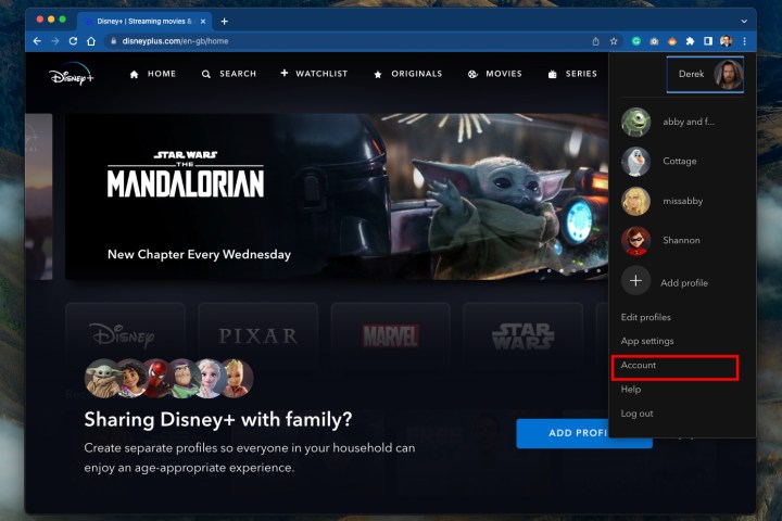 Disney+ account settings