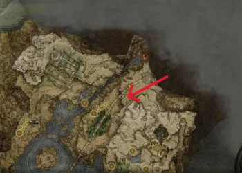 1. Location 41.jpg