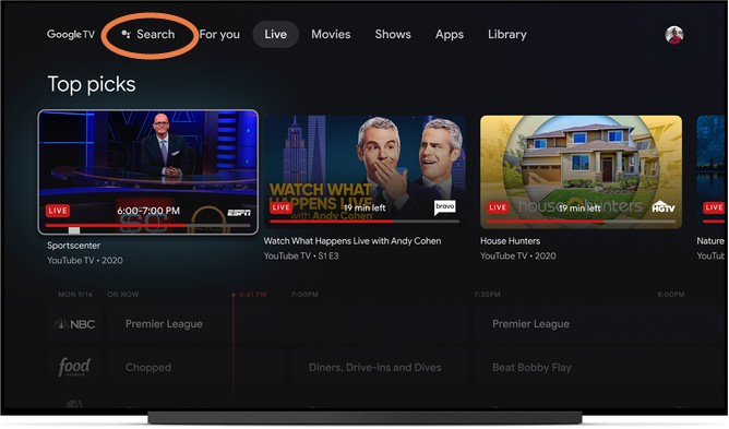 Google TV search function.