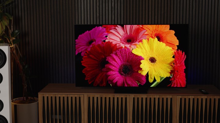 Sansui 55-inch OLED TV