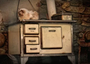 Is a Stove and an Oven the Same Thing?