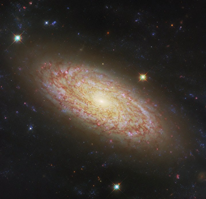 Hubble's image of NGC 2090, a spiral galaxy located in the constellation Columba.