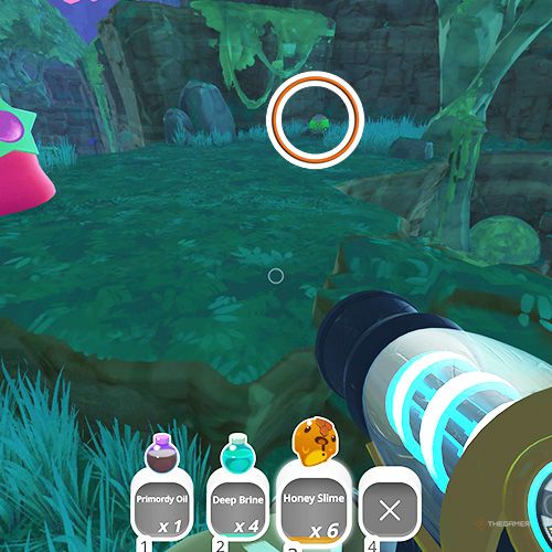 The player is looking at the  treasure pod no 4 at the Moss Blanket in Slime Rancher