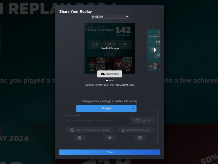 Sharing settings for Steam Replay 2024.