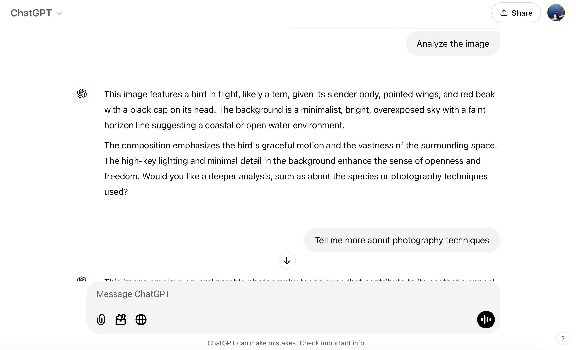 ChatGPT Bird Analysis