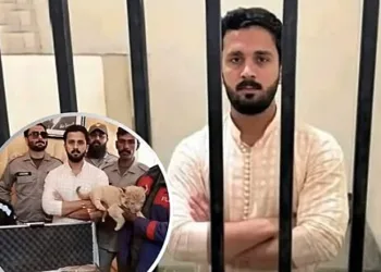 Rajab Butt Freed After Lion Cub Arrest and Weapon Display