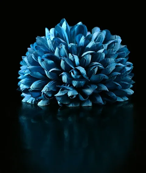 blue artificial hydrangea 4496923 960 720.jpg