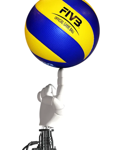 volleyball 2612968 960 720.png