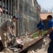 Storms Wreak Havoc in Central-Eastern US, Leaving 16 Dead