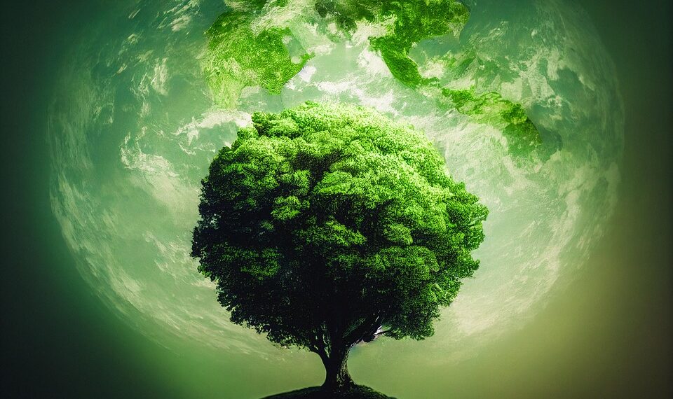 tree 7611691 960 720.jpg