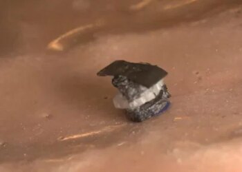 Revolutionary 5-in-1 Tiny Surgical Robot Potentially Transforming Medicine