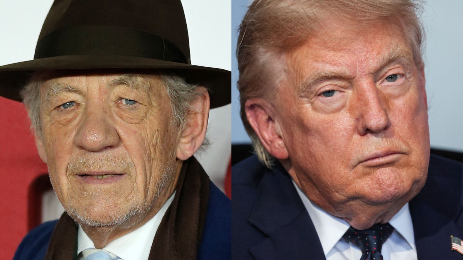 Ian McKellen Donald Trump