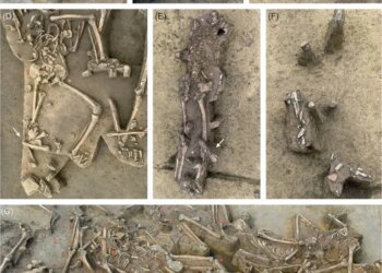 7,000-Year-Old Village Uncovers 77 Headless Skeletons