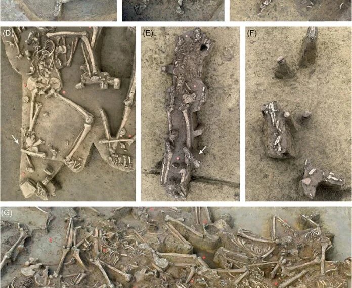 7,000-Year-Old Village Uncovers 77 Headless Skeletons