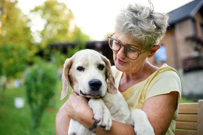 Dogs and Humans Age Similarly, Study Reveals