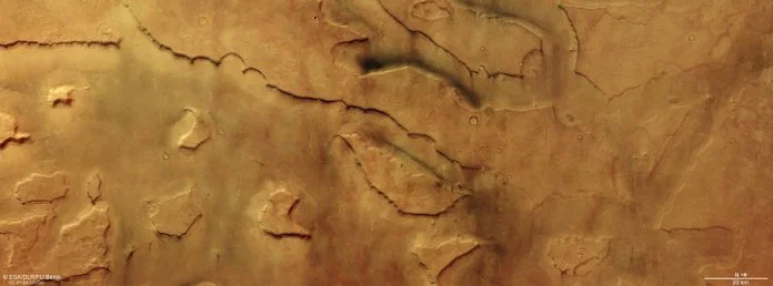 Over 30 colossal dust devils whirl through ancient Martian canyons