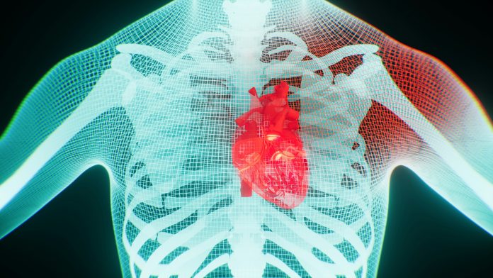 Popular Thyroid Medication Linked to Increased Heart Risks