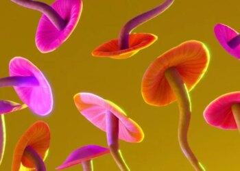 Psychedelic Compound May Aid Persistent Depression Recovery