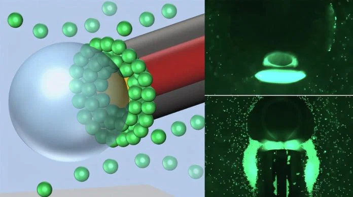 Rapid Fiber Sensor Detects Minute Bacteria in One Minute Using Light