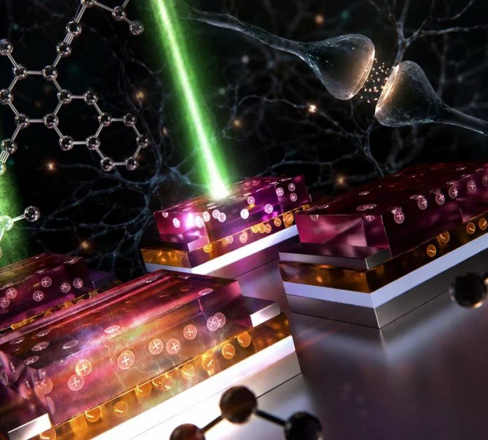 Scientists Develop Brain-Inspired Device That Senses, Remembers, and Forgets