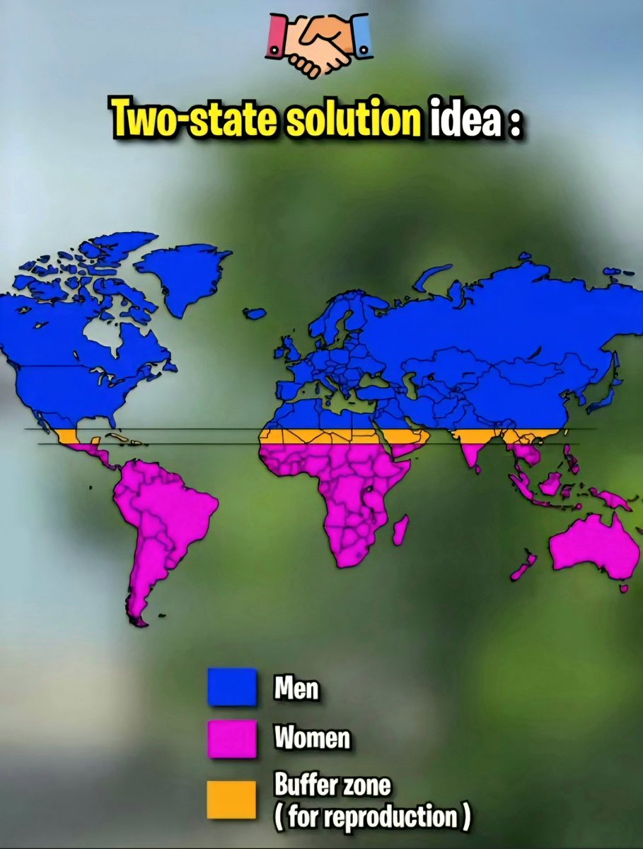 Image illustrating the Two-State Solution concept