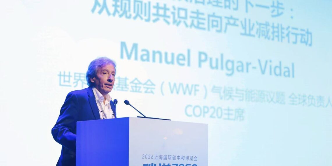 WWF Leader: China’s Next Step in Decarbonization Is Sustainable Fuel Growth
