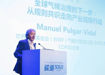 WWF Leader: China’s Next Step in Decarbonization Is Sustainable Fuel Growth