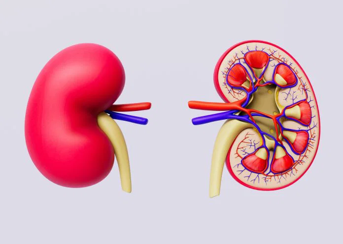 Why Most U.S. Patients Never Make It to the Kidney Transplant List
