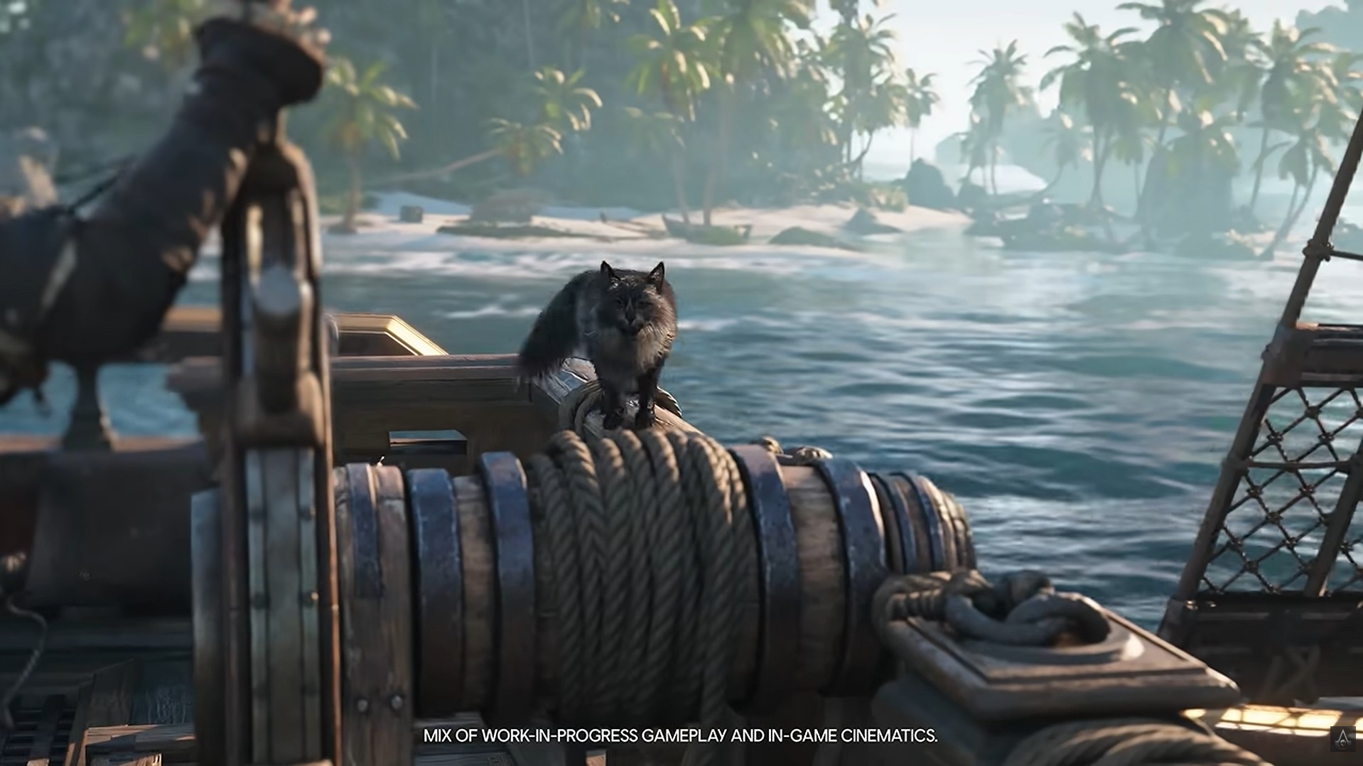 All Animal Interactions Reorganized in Assassin's Creed Black Flag