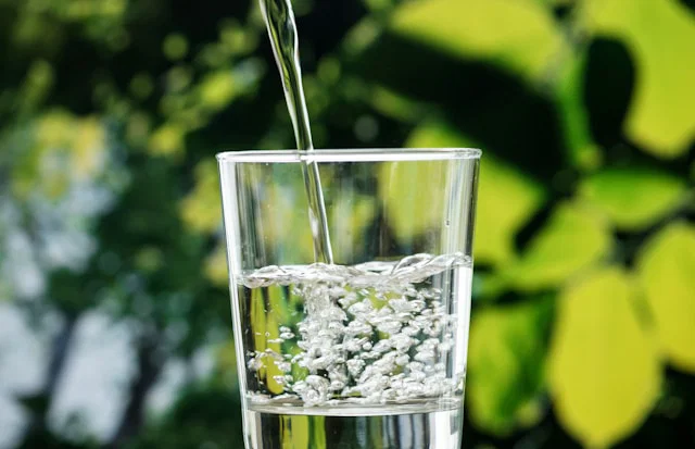 Are Prebiotic Sodas Truly Healthy? New Research Questions the Hype