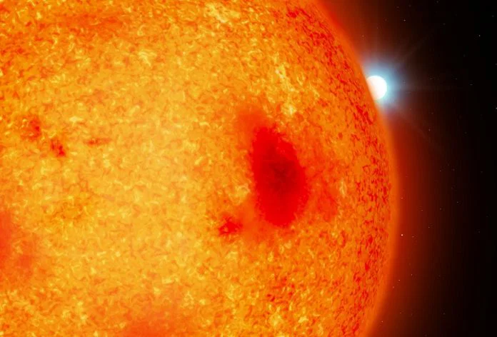 Astronomers Find Four Dead Stars Near Earth