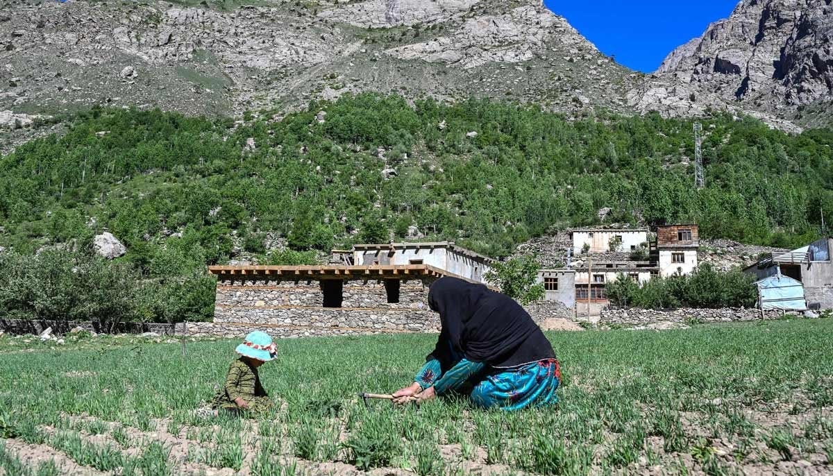Empowered Afghan Women Farmers Sustaining Their Village