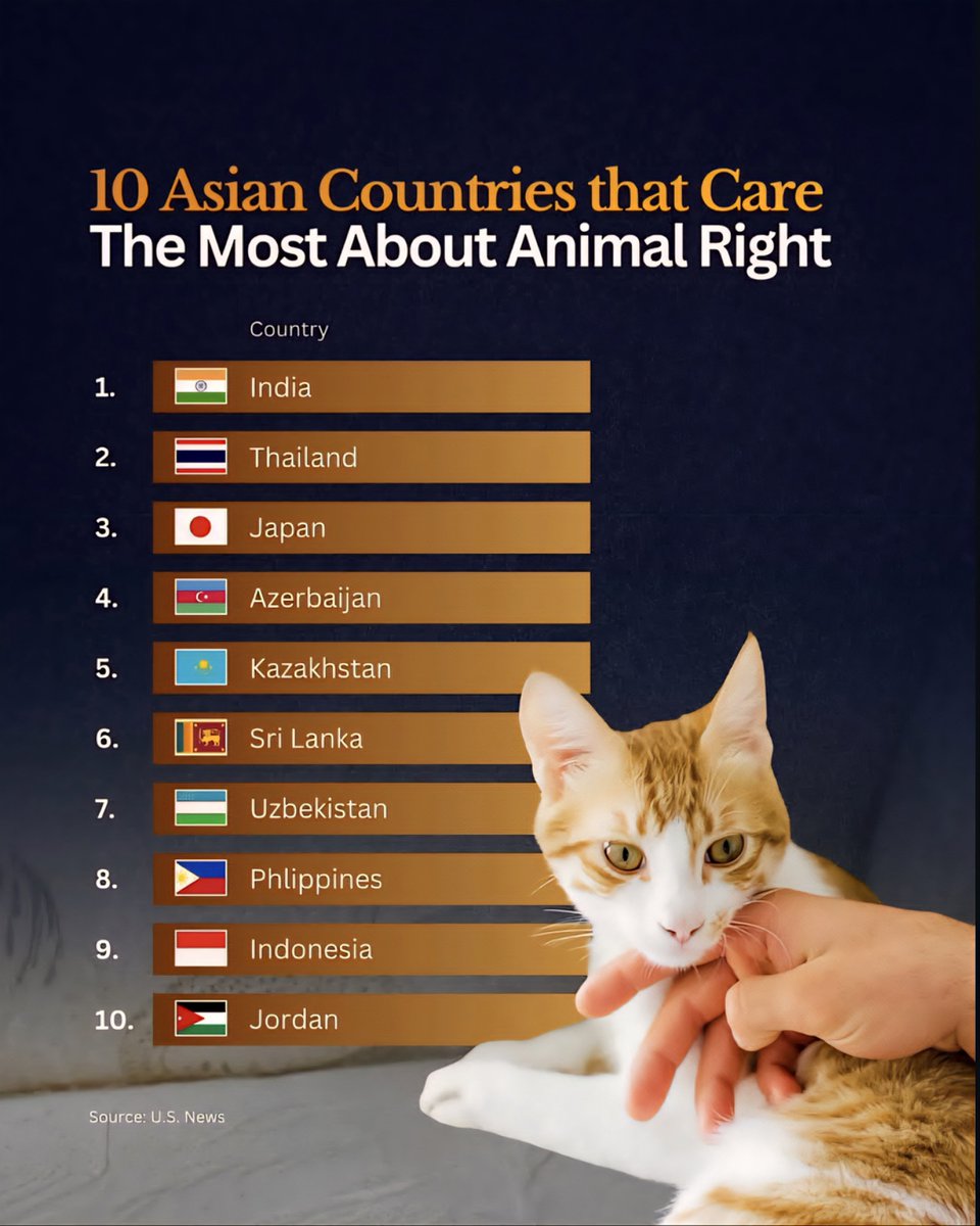 Top 10 Asian Countries That Care Most About Animal Rights