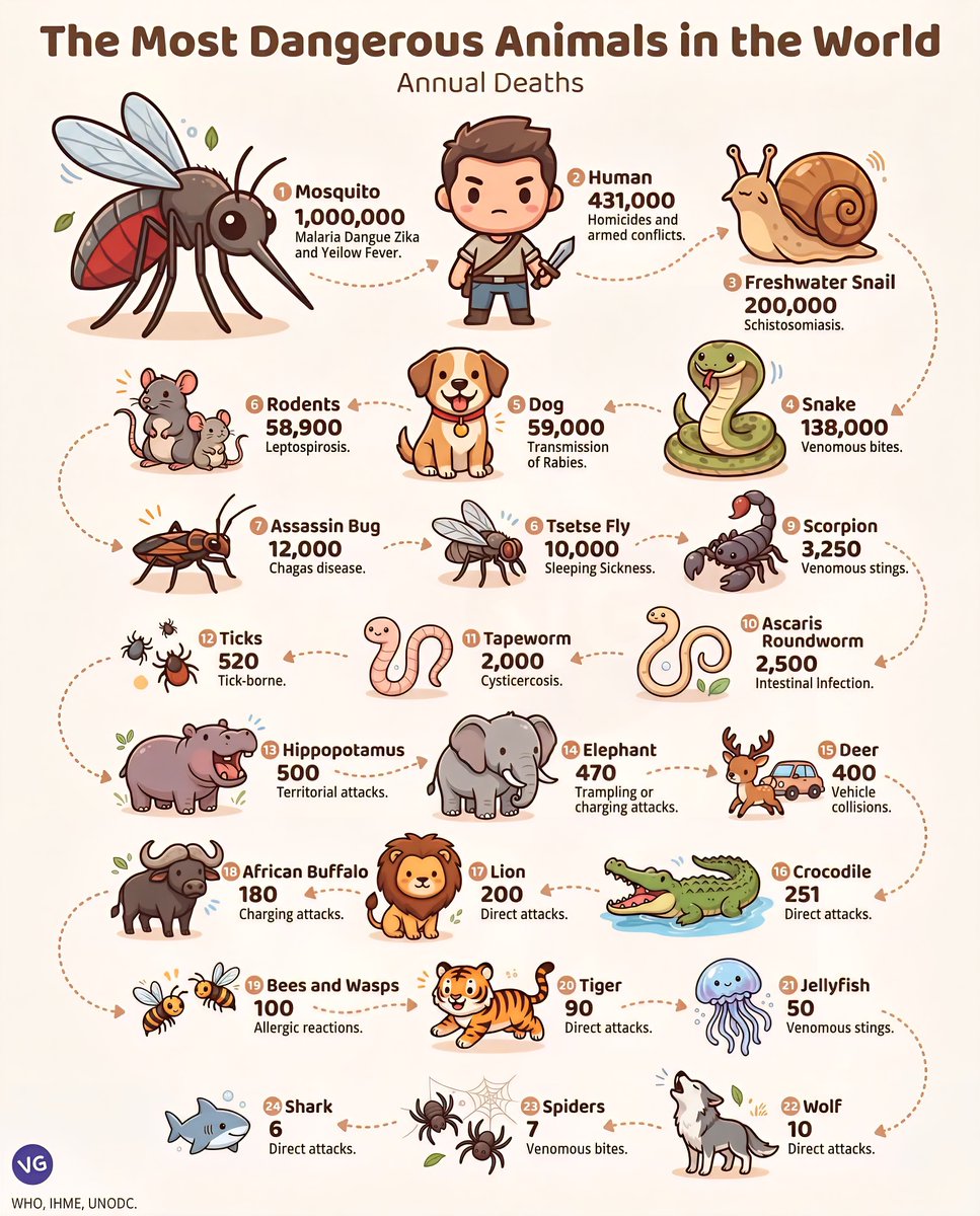Top 10 Most Dangerous Animals in the World by Annual Deaths