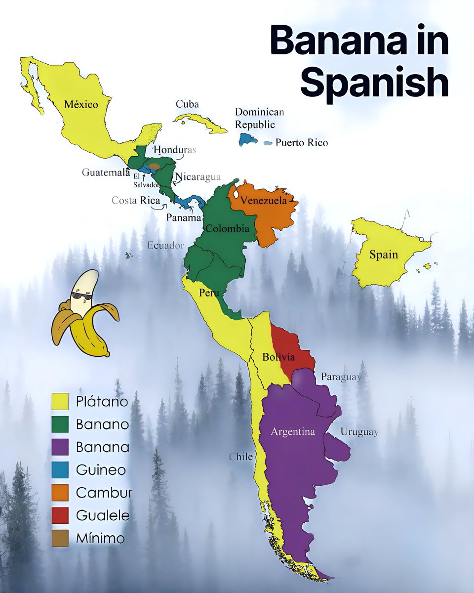 Banana in Spanish
Plátano
Banano
Banana
Guineo
Cambur
Gualele
Mínimo