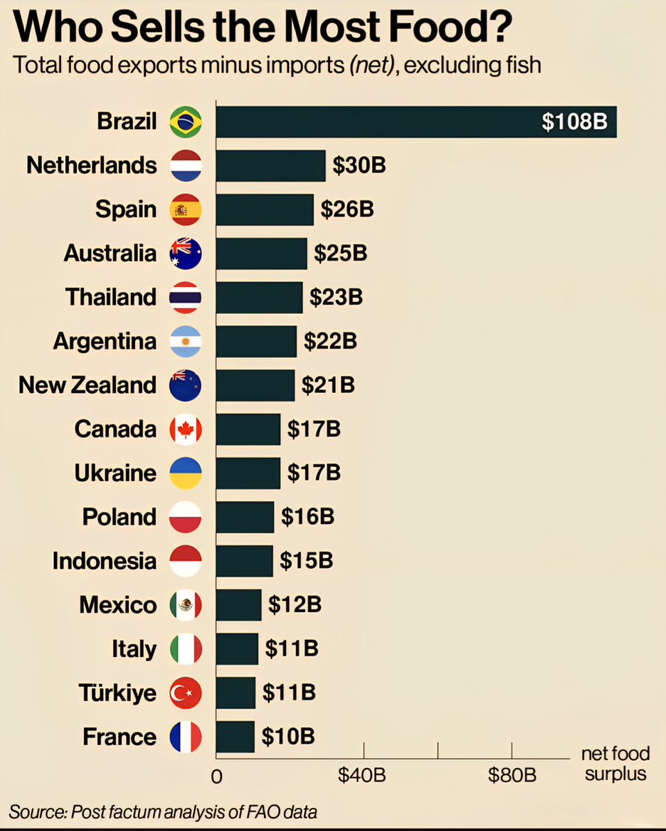 Top Countries with the Highest Food Export Surplus