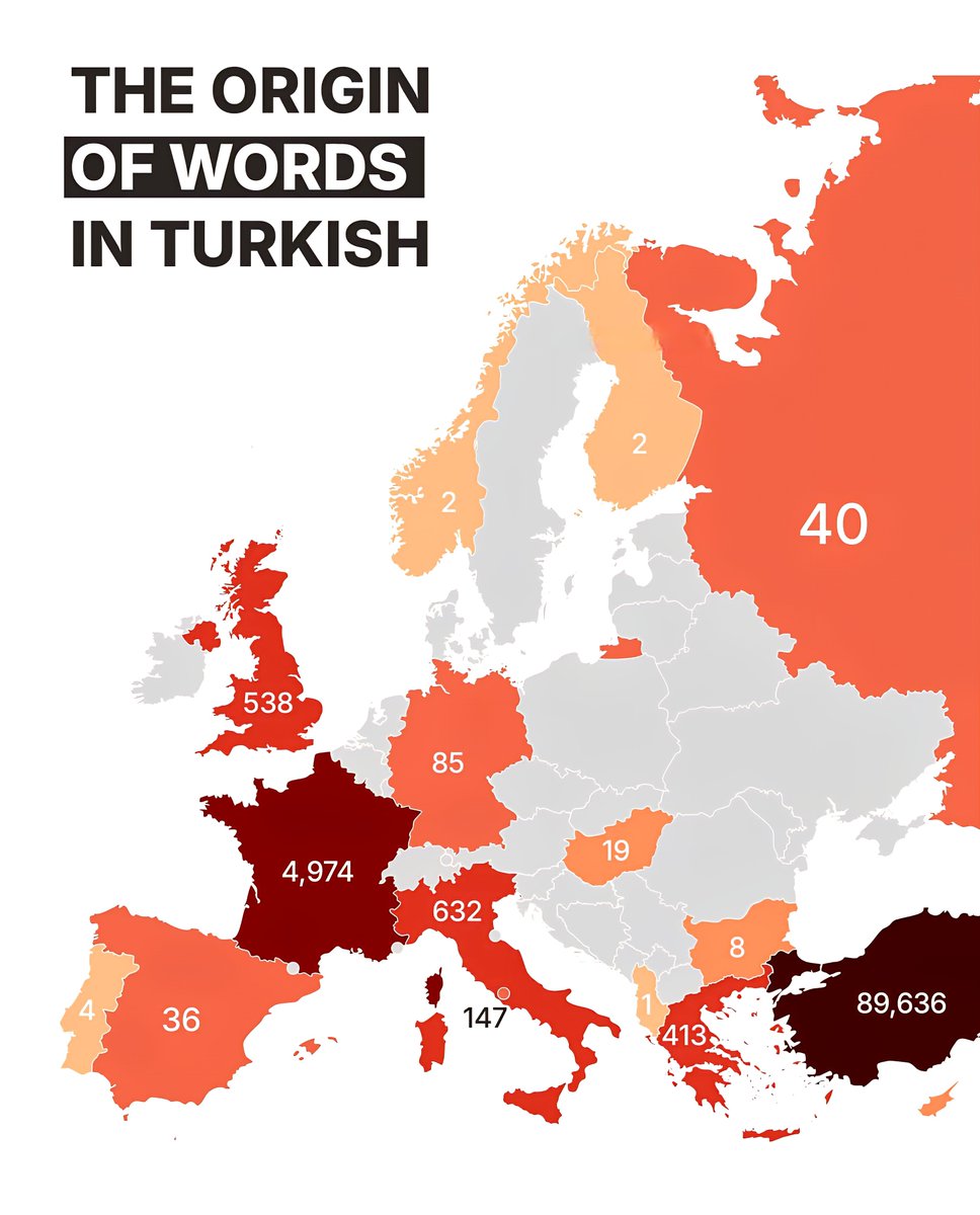 THE ORIGIN OF WORDS IN TURKISH

The Turkish language is a fascinating mix of inf